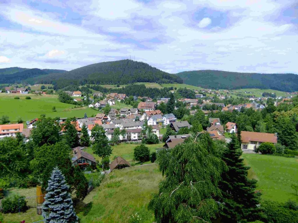 Oberdeisenhof Land- Und Wanderhotel Garni Baiersbronn Exteriör bild